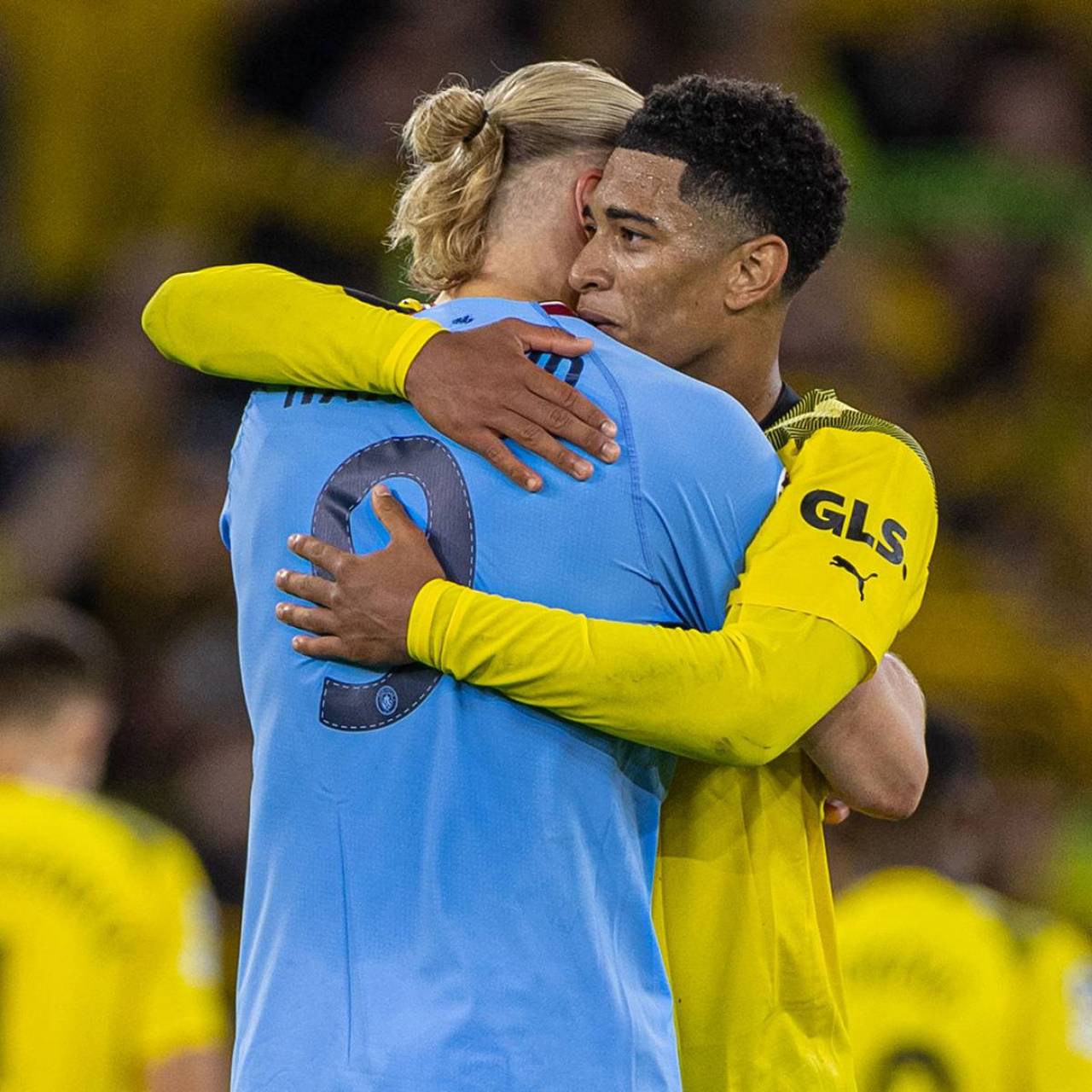 他把波动压 他把波动压