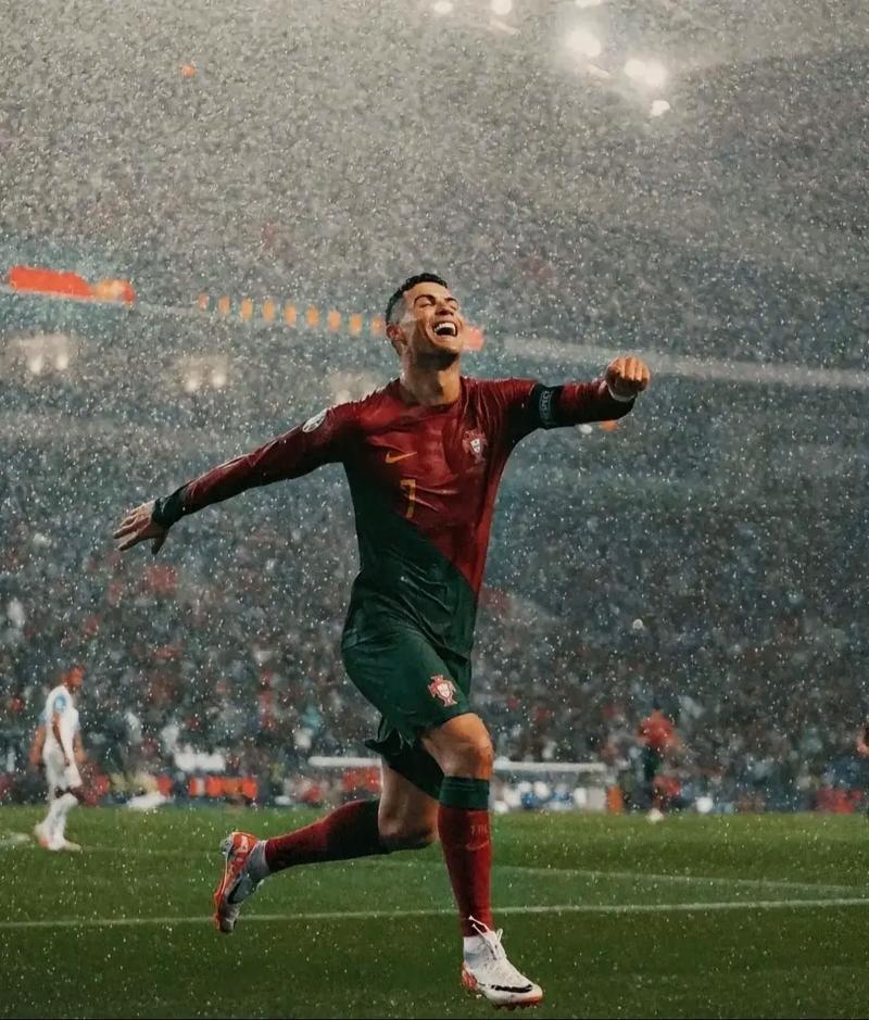 我们将从四 我们将从四